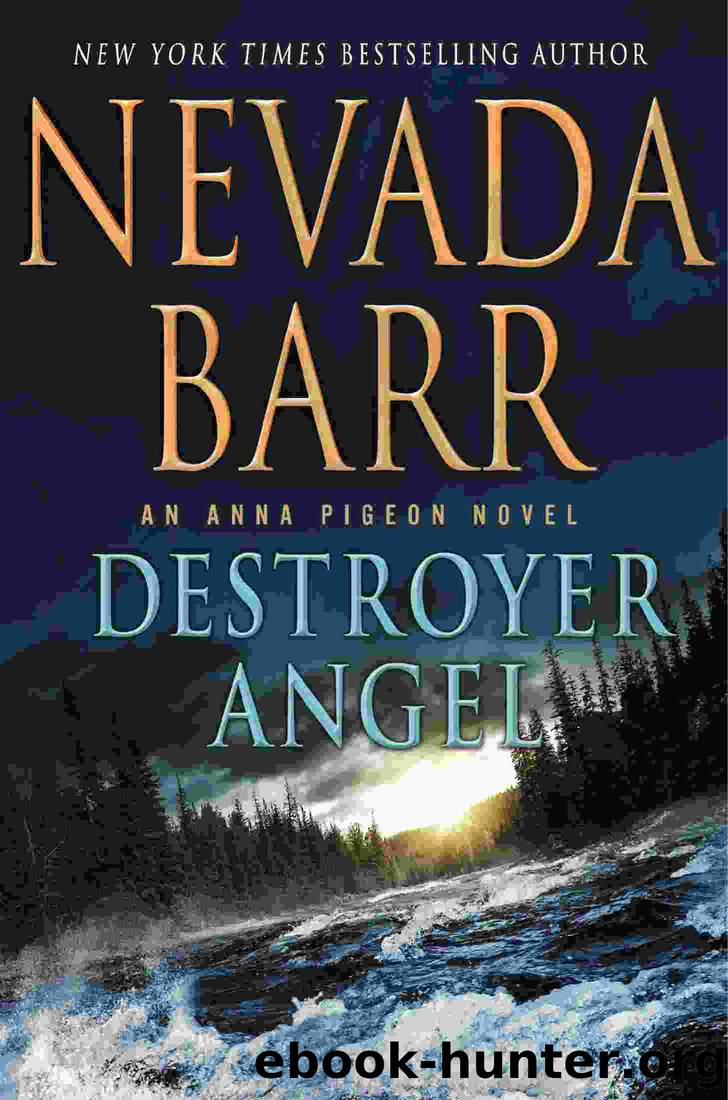 Destroyer Angel: An Anna Pigeon Novel by Nevada Barr