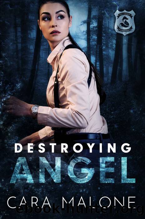 Destroying Angel by Cara Malone