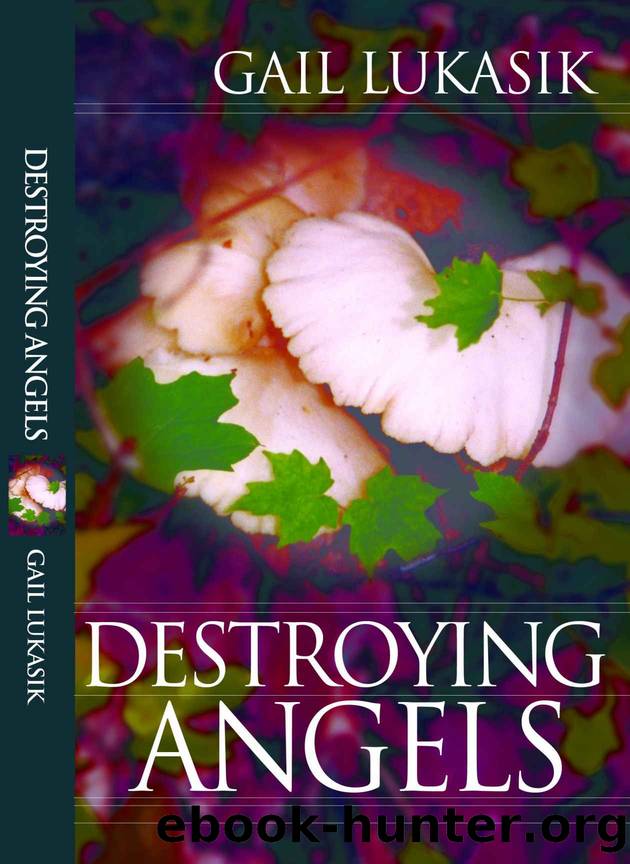 Destroying Angels (Leigh Girard Book 1) by Gail Lukasik