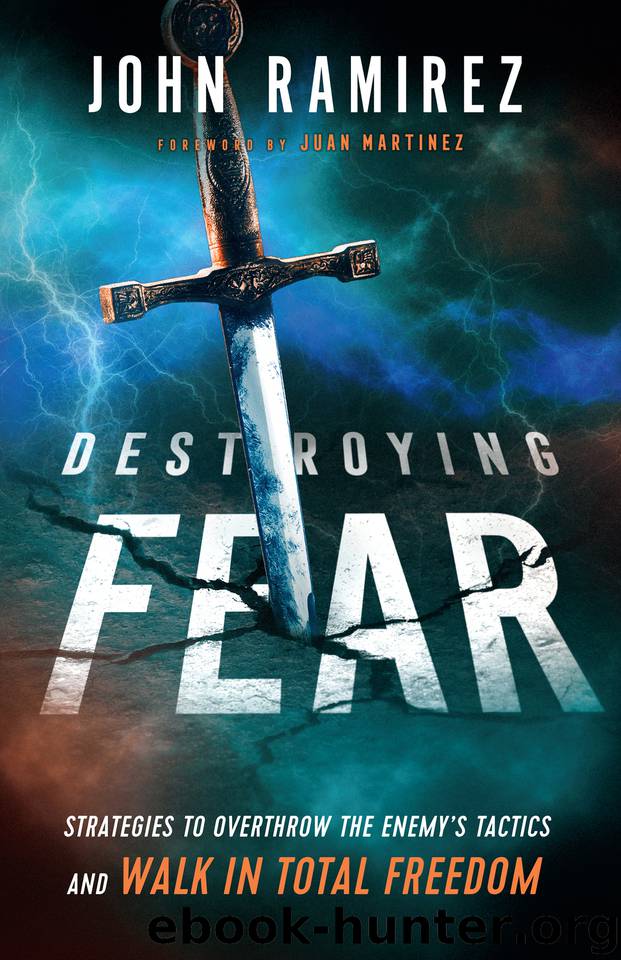 Destroying Fear by Ramirez John