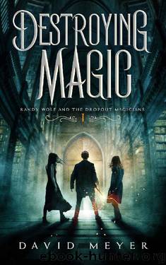 Destroying Magic by David Meyer