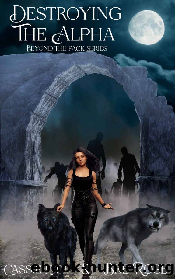 Destroying the Alpha (Beyond the Pack Book 2) by Lein Cassie & Rose Bre