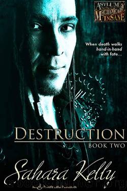 Destruction (Asylum for the Mechanically Insane Book 2) by Sahara Kelly