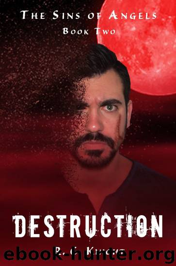 Destruction by R C Knight