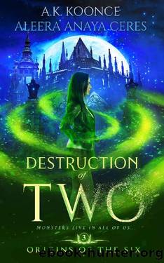 Destruction of Two_A Reverse Harem Series by A. K. Koonce & Aleera Anaya Ceres