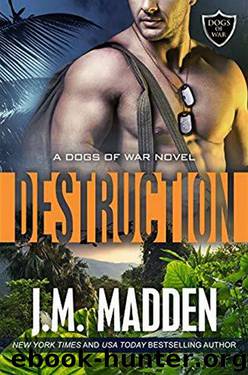 Destruction: The Dogs of War, a Lost and Found Series by J.M. Madden