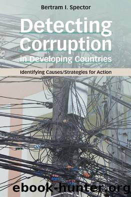 Detecting Corruption in Developing Countries : Identifying Causes/Strategies for Action by Bertram I. Spector