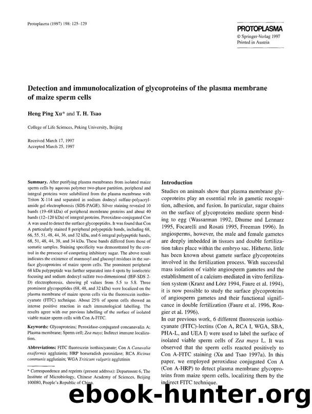 Detection and immunolocalization of glycoproteins of the plasma membrane of maize sperm cells by Unknown