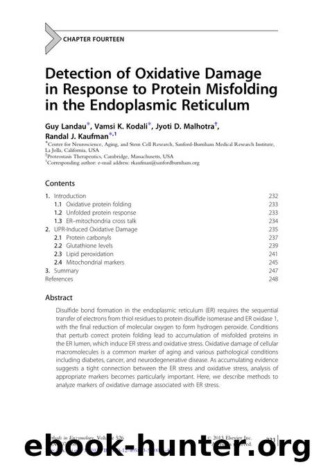 Detection of Oxidative Damage in Response to Protein Misfolding in the Endoplasmic Reticulum by Guy Landau & Vamsi K. Kodali & Jyoti D. Malhotra & Randal J. Kaufman