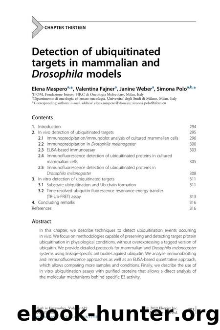 Detection of ubiquitinated targets in mammalian and Drosophila models by Elena Maspero & Valentina Fajner & Janine Weber & Simona Polo