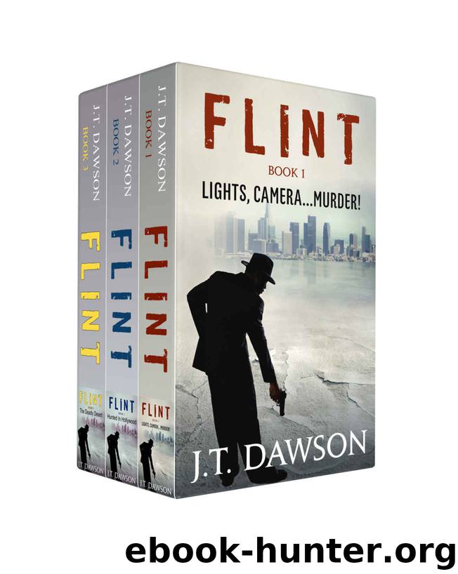 Detective Flint Box Set: A Detective Story Box Set Books 1-3 by Nancy McGovern & J.T. Dawson