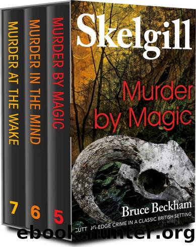 Detective Inspector Skelgill Boxset 2 by Bruce Beckham