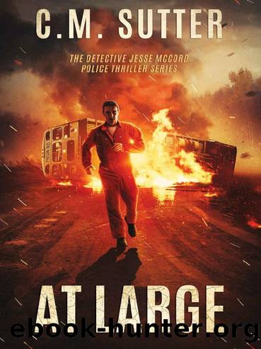 Detective Jesse McCord 02-At Large by Sutter C M
