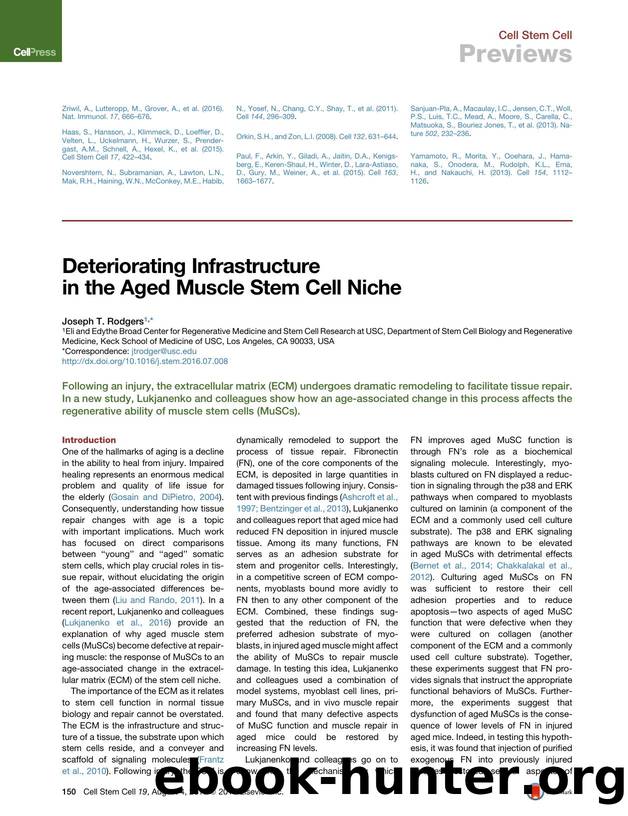 Deteriorating Infrastructure in the Aged Muscle Stem Cell Niche by Joseph T. Rodgers