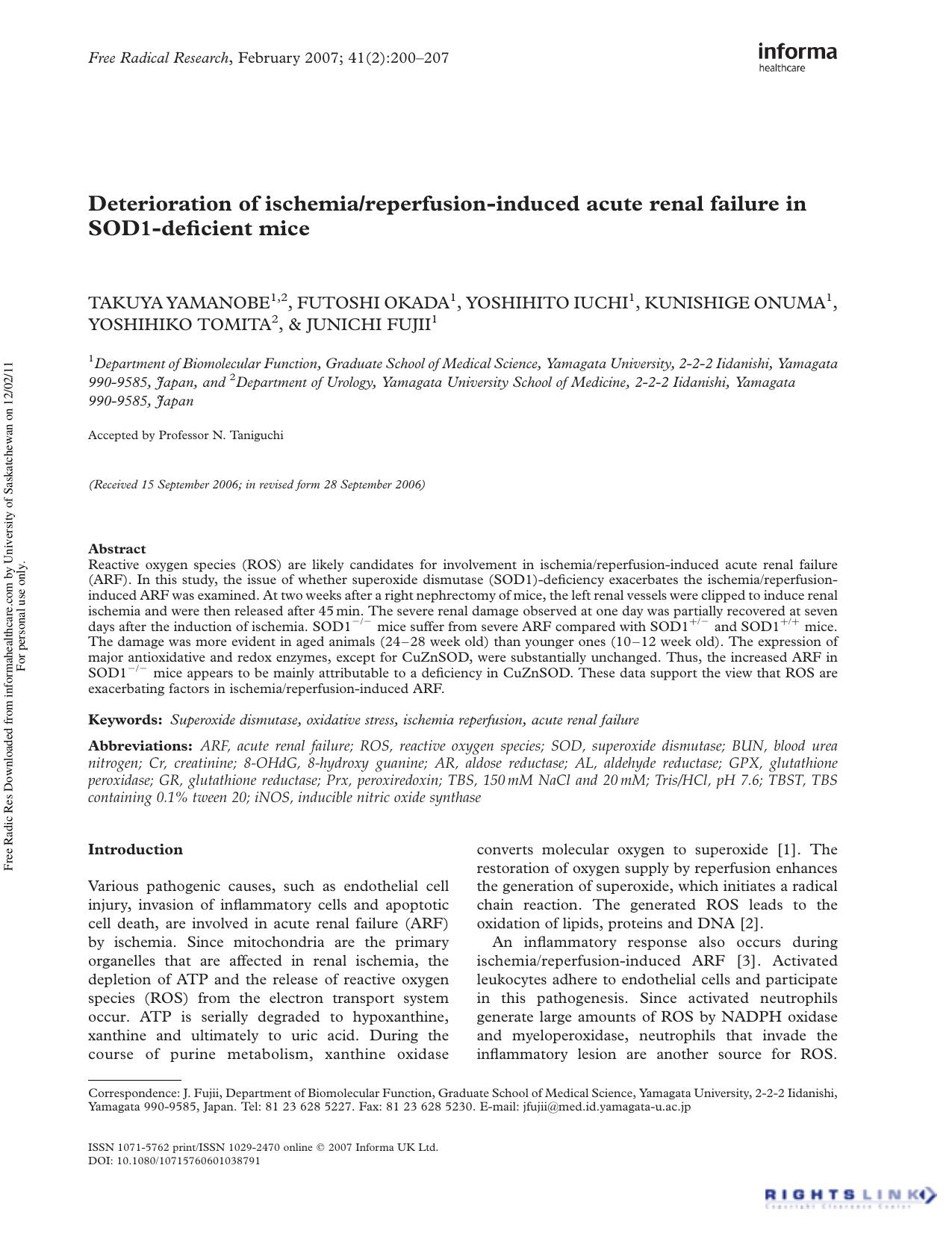 Deterioration of ischemiareperfusion-induced acute renal failure in SOD1-deficient mice by unknow