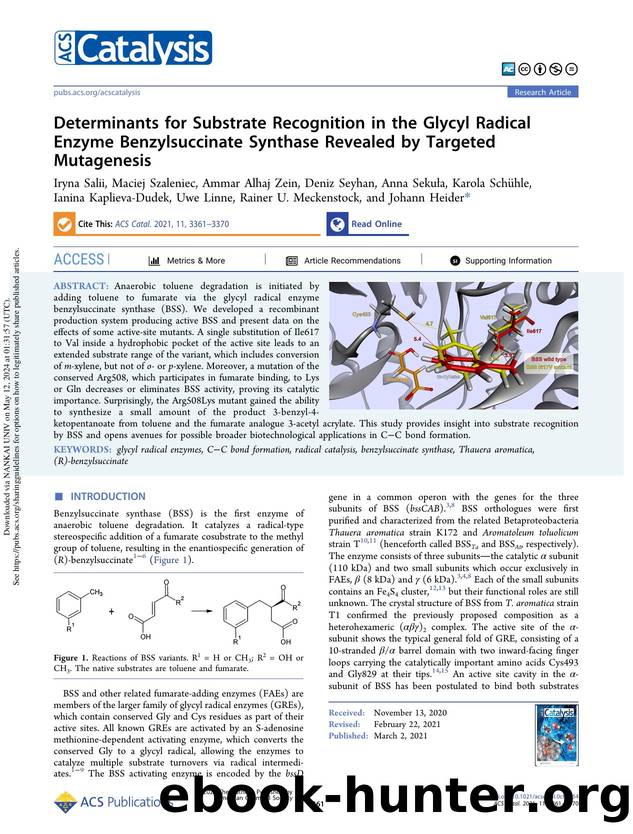 Determinants for Substrate Recognition in the Glycyl Radical Enzyme Benzylsuccinate Synthase Revealed by Targeted Mutagenesis by unknow