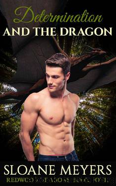Determination and the Dragon (Redwood Dragons Book 4) by Sloane Meyers