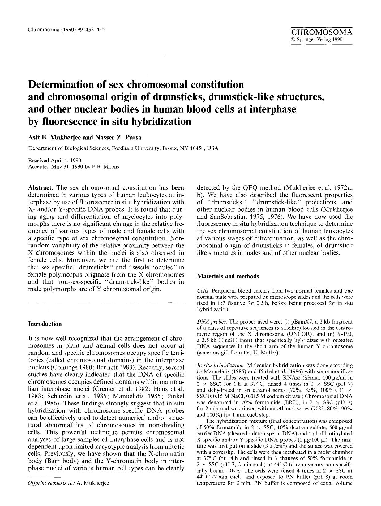 Determination of sex chromosomal constitution and chromosomal origin of drumsticks, drumstick-like structures, and other nuclear bodies in human blood cells at interphase by fluore by Unknown