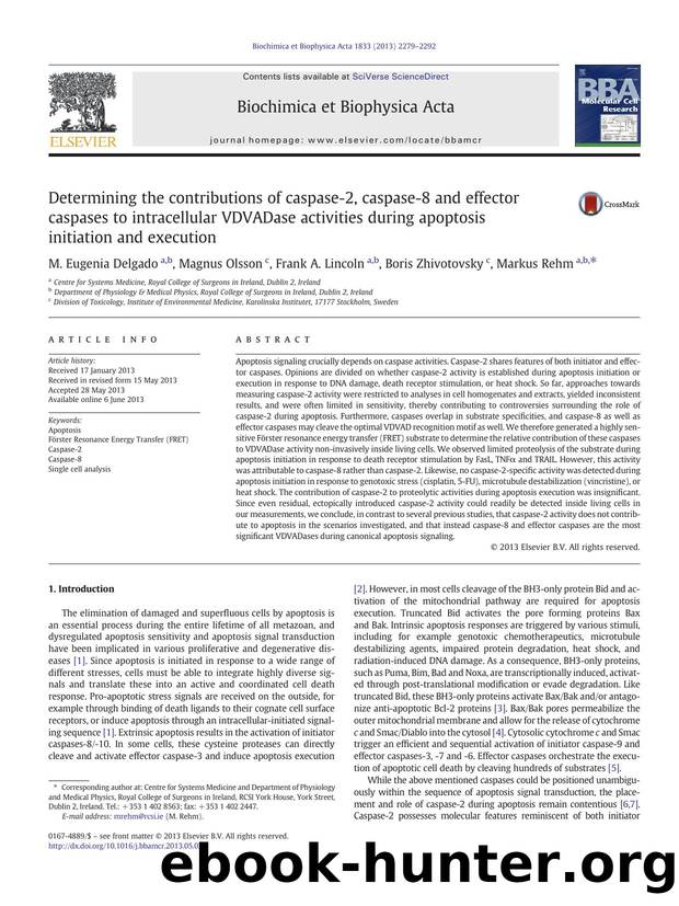 Determining the contributions of caspase-2, caspase-8 and effector caspases to intracellular VDVADase activities during apoptosis initiation and execution by M. Eugenia Delgado & Magnus Olsson & Frank A. Lincoln & Boris Zhivotovsky & Markus Rehm