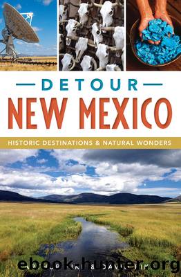 Detour New Mexico by Arthur Pike David Pike