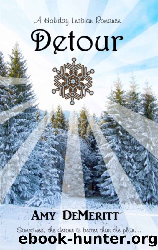 Detour by Amy DeMeritt