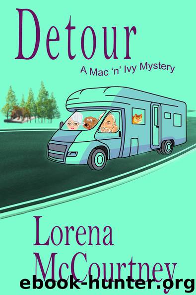 Detour by Lorena McCourtney