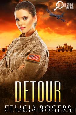 Detour, Ericka Stone Case #008 by Felicia Rogers