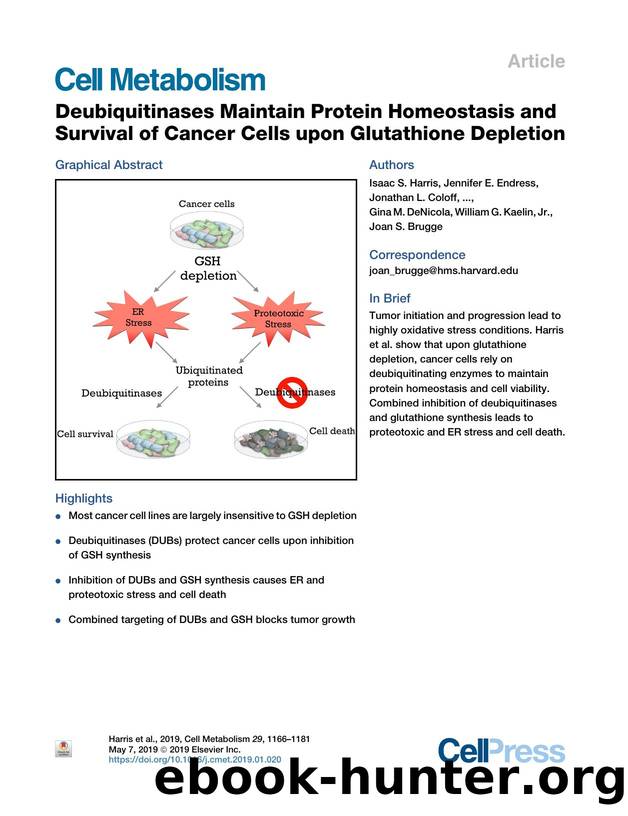 Deubiquitinases Maintain Protein Homeostasis and Survival of Cancer Cells upon Glutathione Depletion by unknow