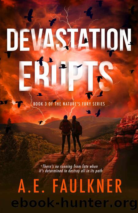 Devastation Erupts by A E Faulkner