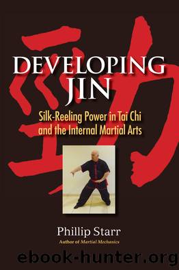 Developing Jin by Phillip Starr