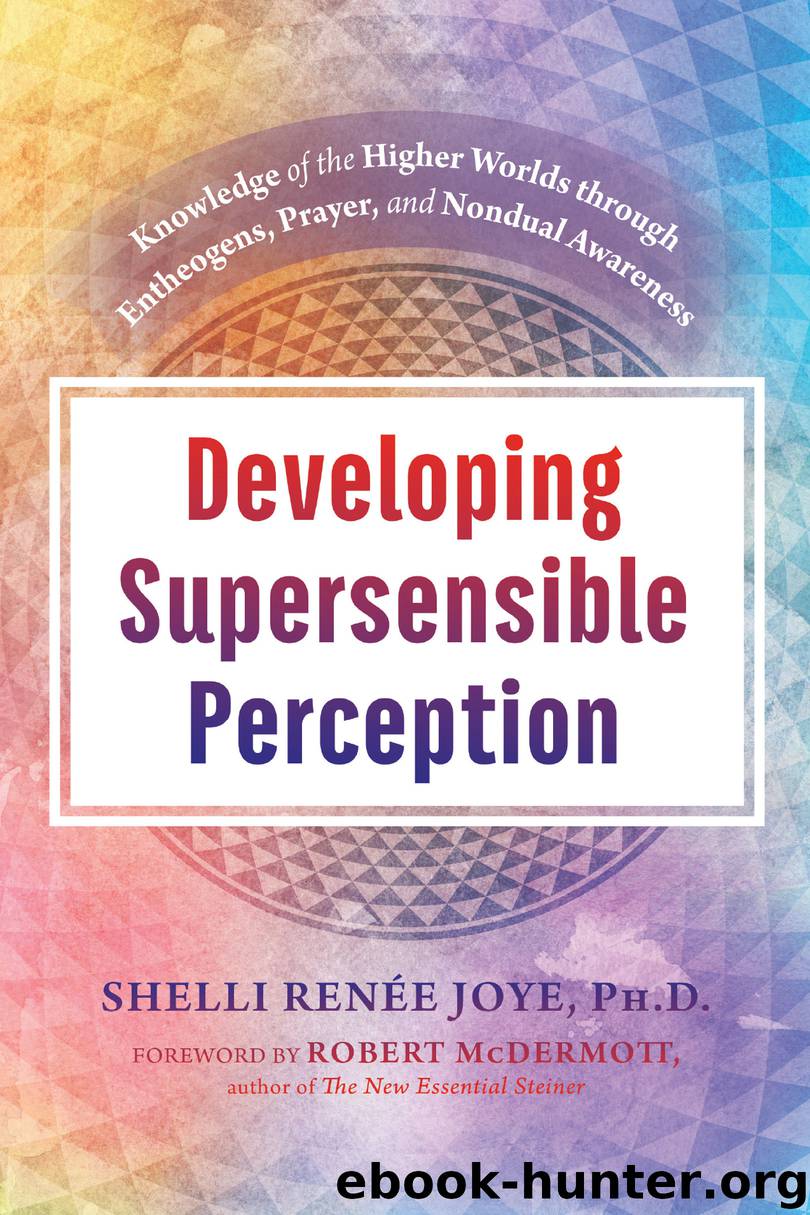 Developing Supersensible Perception by Shelli Renée Joye
