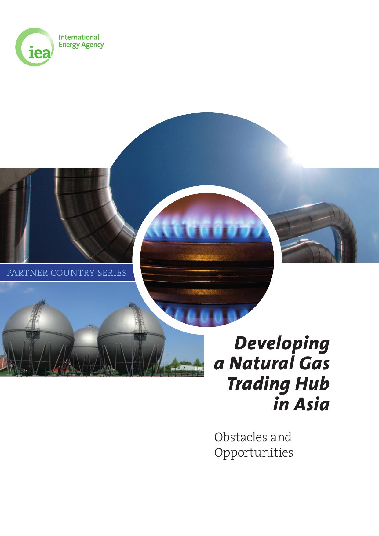 Developing a Natural Gas Trading Hub in Asia. by OECD