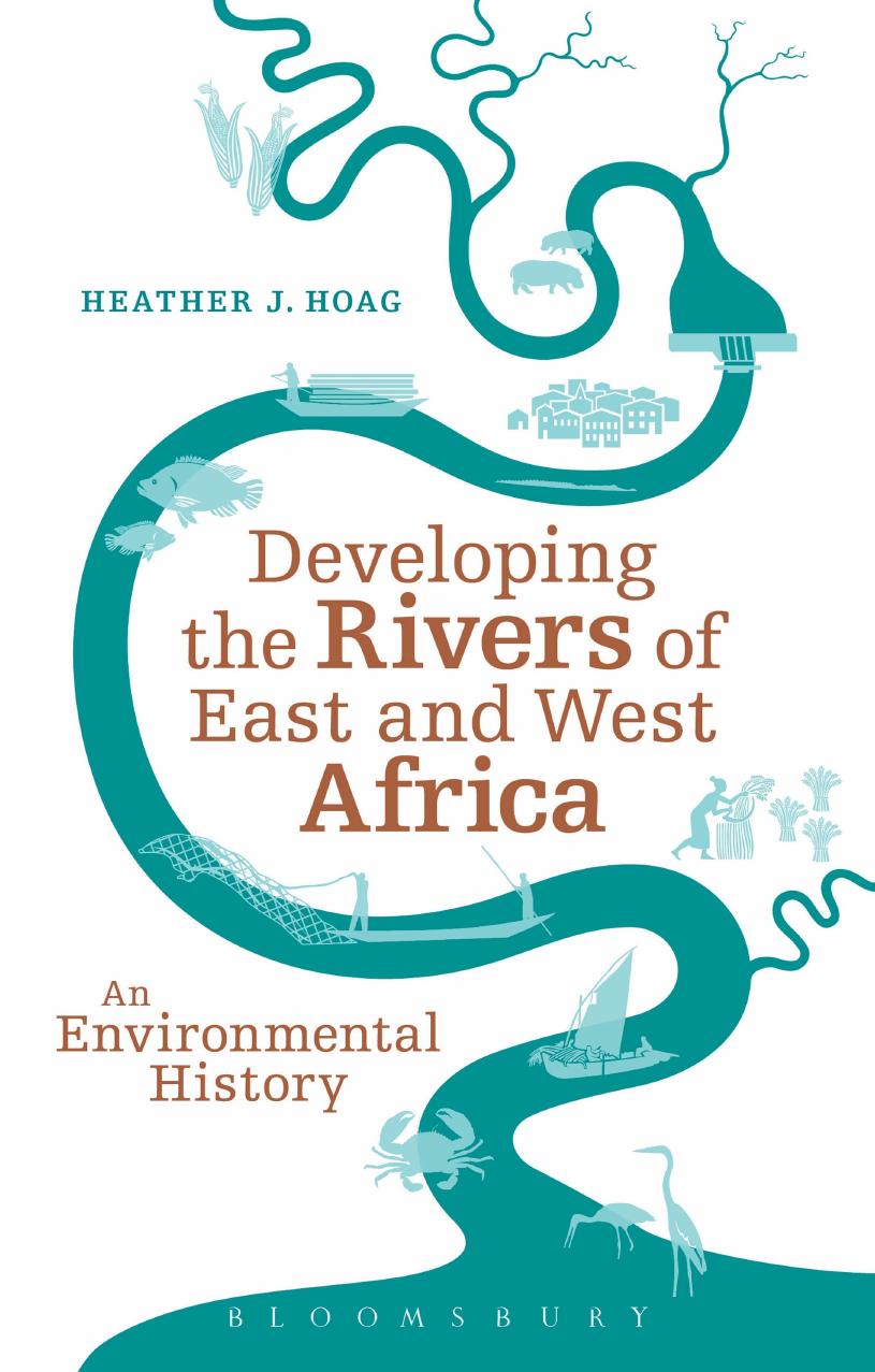 Developing the Rivers of East and West Africa: An Environmental History by Heather J. Hoag