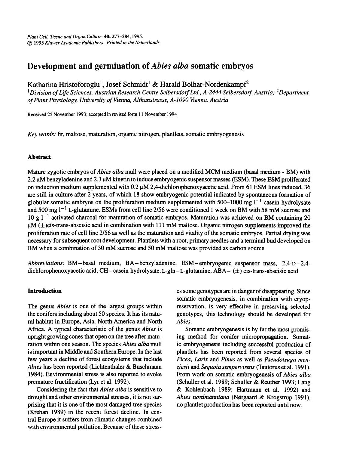 Development and germination of <Emphasis Type="Italic">Abies alba <Emphasis> somatic embryos by Unknown