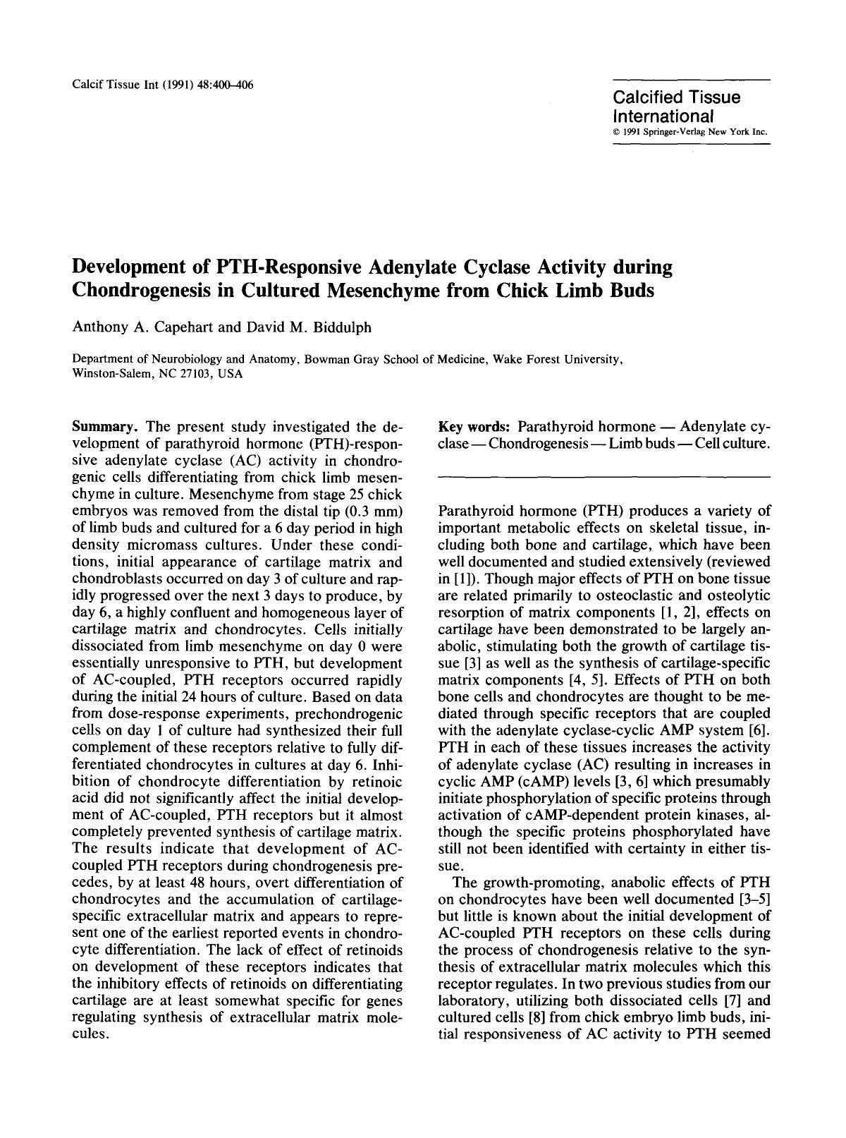Development of PTH-responsive adenylate cyclase activity during chondrogenesis in cultured mesenchyme from chick limb buds by Unknown