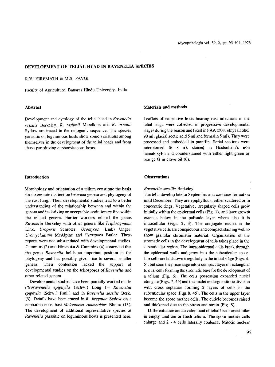 Development of telial head in Ravenelia species by Unknown
