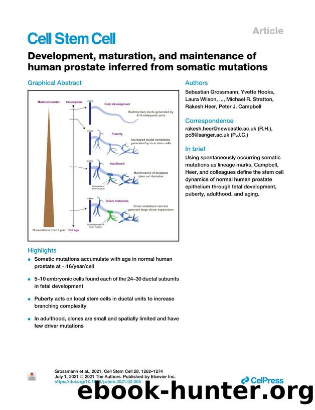 Development, maturation, and maintenance of human prostate inferred from somatic mutations by unknow