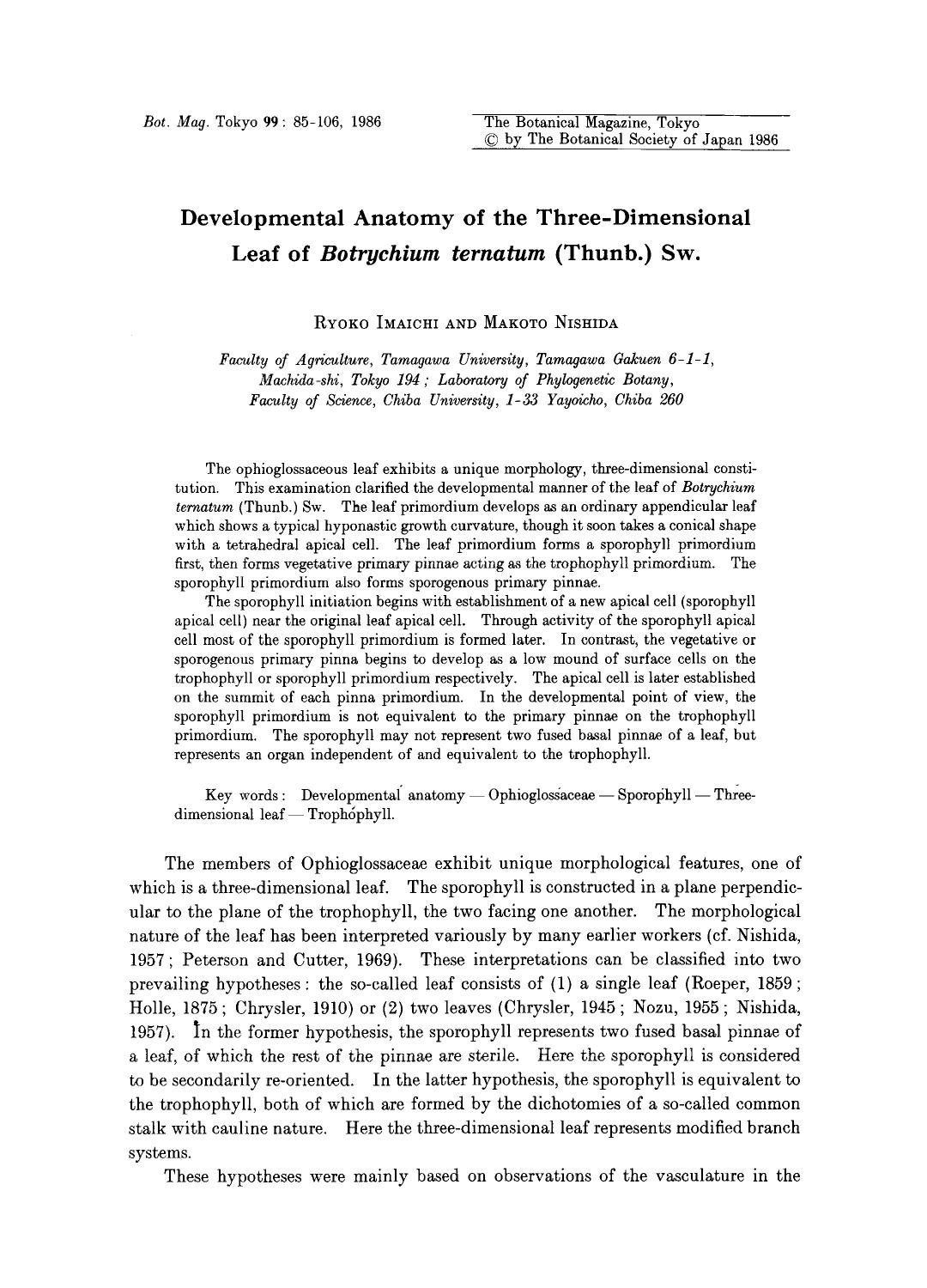Developmental anatomy of the three-dimensional leaf of <Emphasis Type="Italic">Botrychium ternatum <Emphasis> (Thunb.) Sw. by Unknown