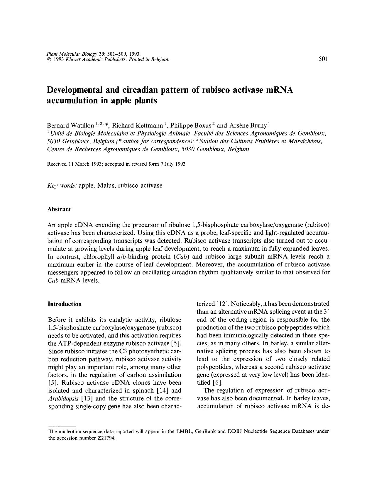 Developmental and circadian pattern of rubisco activase mRNA accumulation in apple plants by Unknown