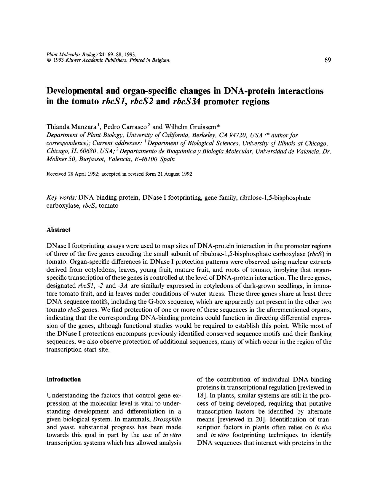 Developmental and organ-specific changes in DNA-protein interactions in the tomato <Emphasis Type="Italic">rbcS1<Emphasis>, <Emphasis Type="Italic">rbcS2<Emphasis> and <Emphasis Ty by Unknown