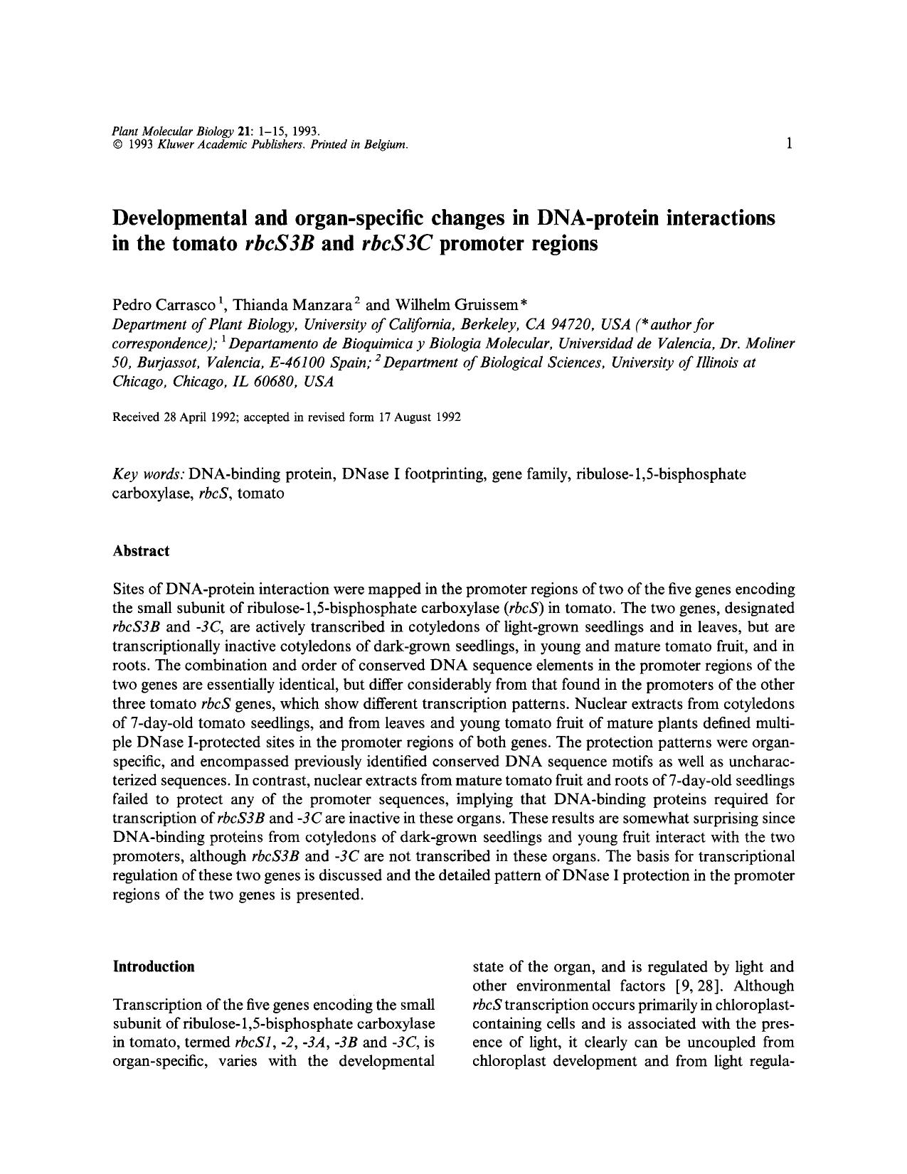Developmental and organ-specific changes in DNA-protein interactions in the tomato <Emphasis Type="Italic">rbcS3B<Emphasis> and <Emphasis Type="Italic">rbcS3C<Emphasis> promoter regions by Unknown