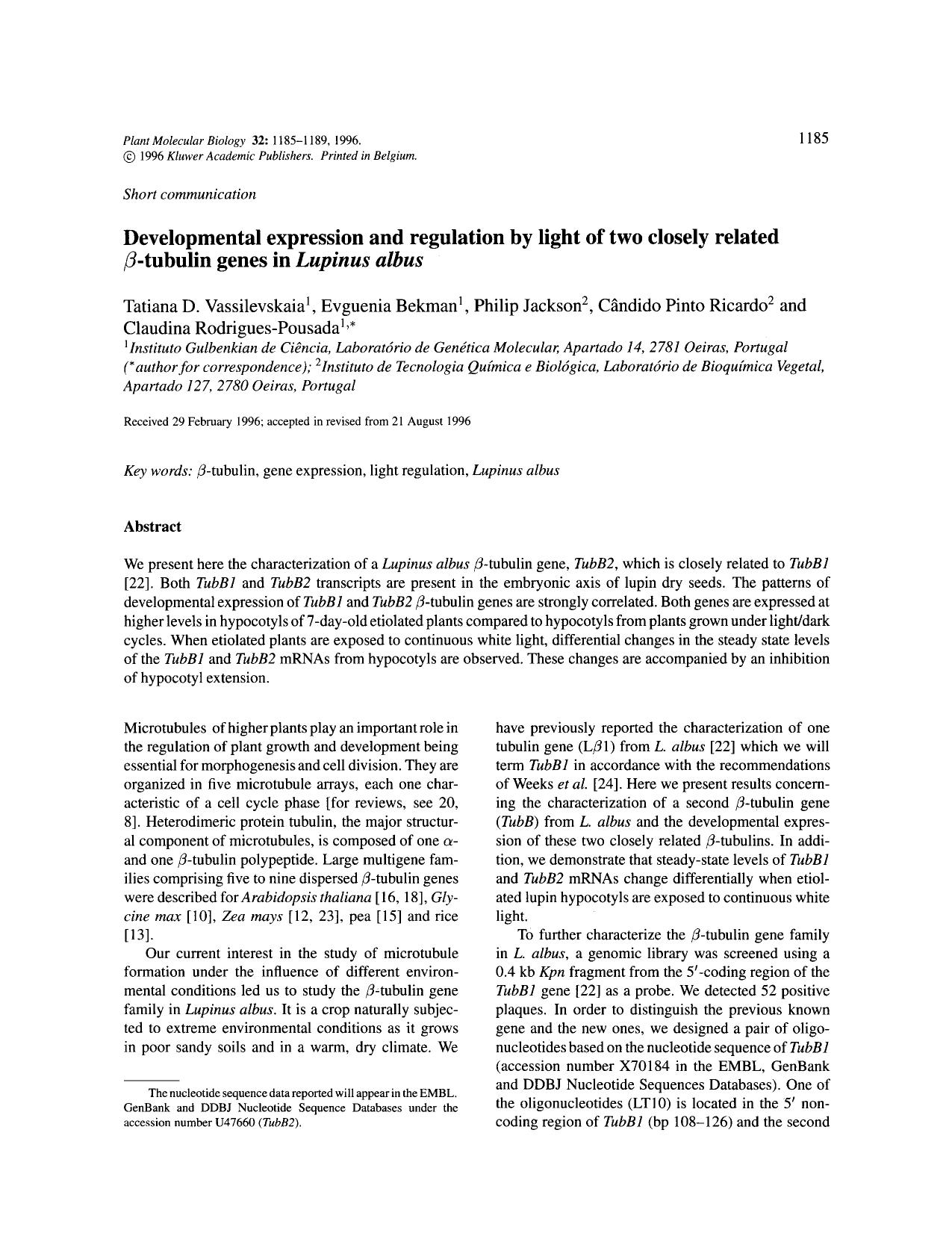 Developmental expression and regulation by light of two closely related &#x03B2;-tubulin genes in <Emphasis Type="Italic">Lupinus albus <Emphasis> by Unknown