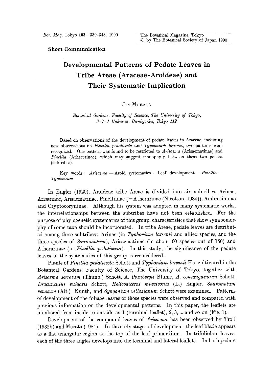 Developmental patterns of pedate leaves in tribe Areae (Araceae-aroideae) and their systematic implication by Unknown