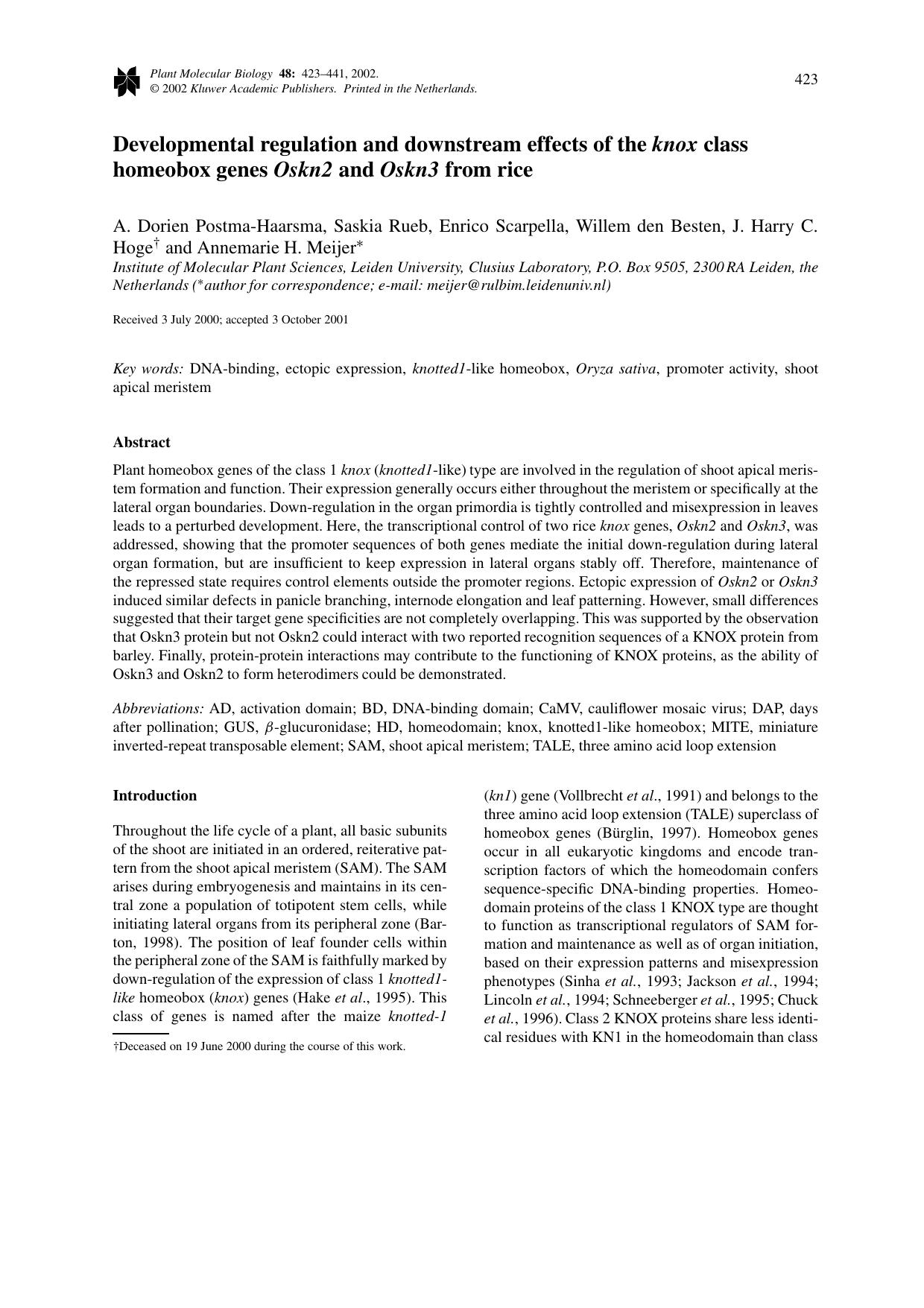 Developmental regulation and downstream effects of the <Emphasis Type="Italic">knox<Emphasis> class homeobox genes <Emphasis Type="Italic">Oskn2<Emphasis> and <Emphasis Type="Itali by Unknown