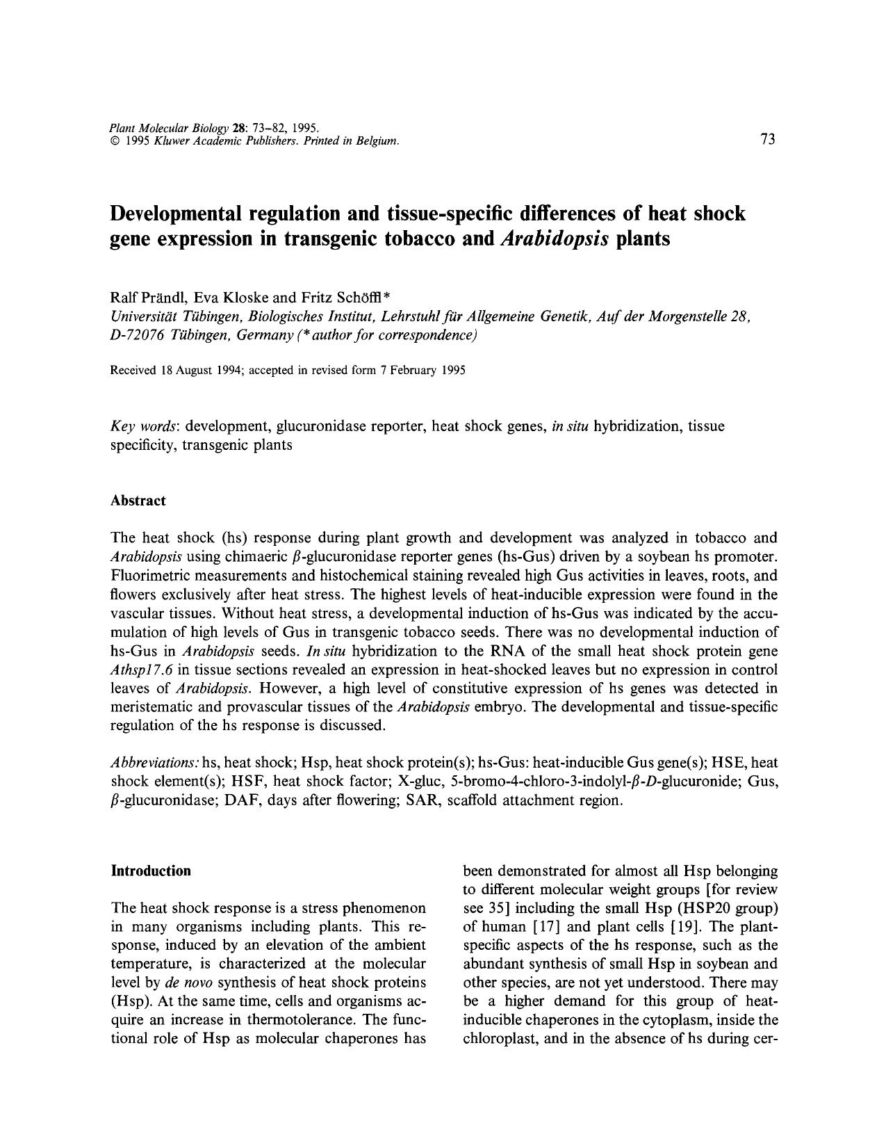 Developmental regulation and tissue-specific differences of heat shock gene expression in transgenic tobacco and <Emphasis Type="Italic">Arabidopsis <Emphasis> plants by Unknown