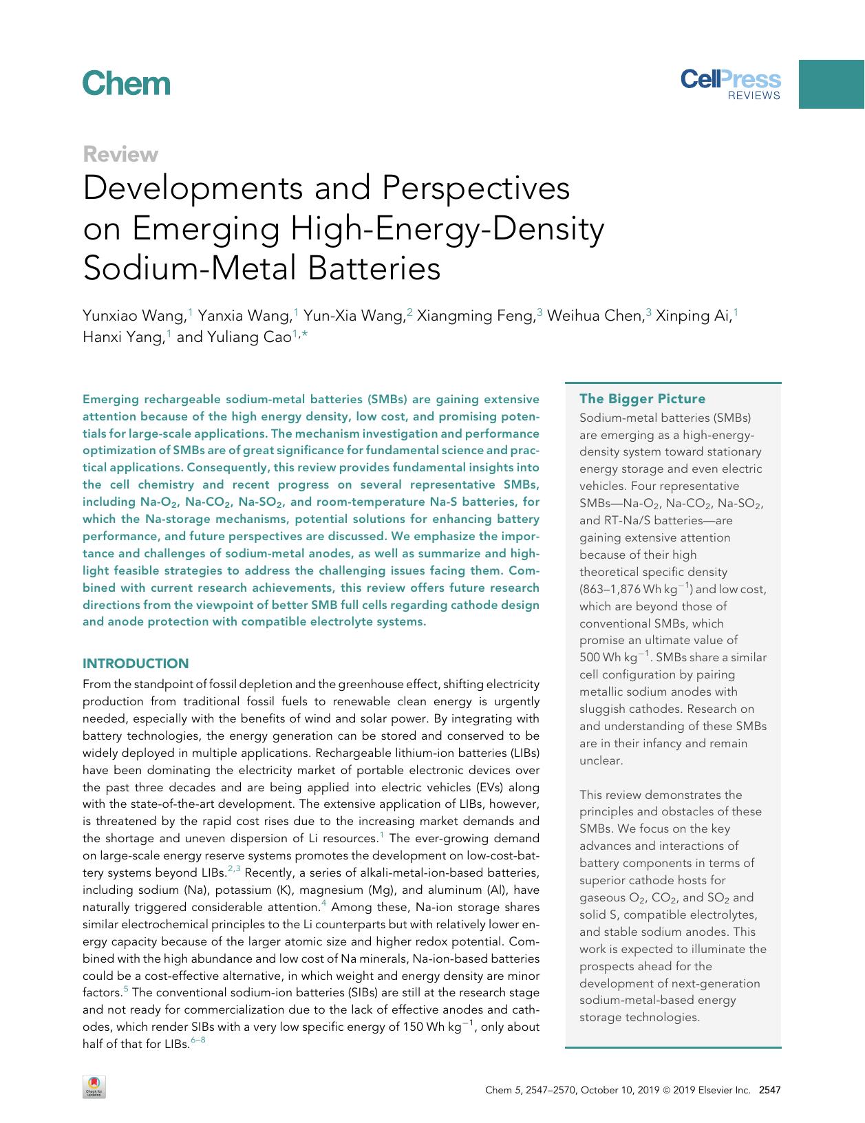 Developments and Perspectives on Emerging High-Energy-Density Sodium-Metal Batteries by unknow