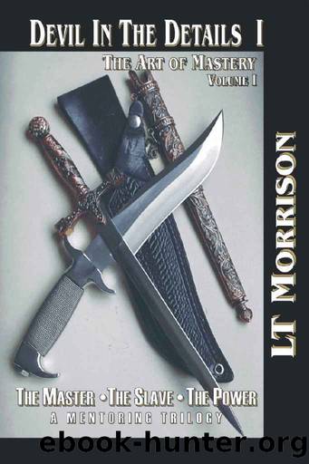 Devil In The Details I (Devil In The Details - The Art of Mastery - A Mentoring Trilogy Book 1) by LT Morrison