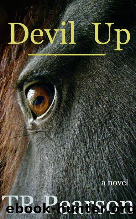 Devil Up by T. R. Pearson