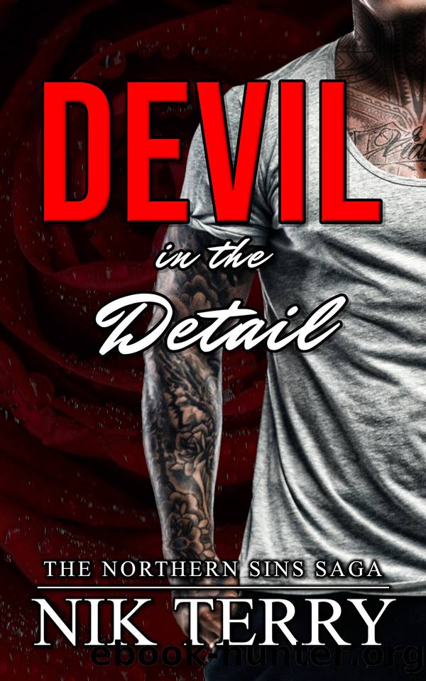 Devil in the Detail: A Forced Proximity Romance (The Northern Sins Saga Book 3) by Terry Nik