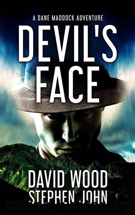 Devil's Face by David Wood & Stephen John